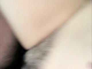 误杀野兽电影免费播放在线观看-亚洲黄色区-成人AV